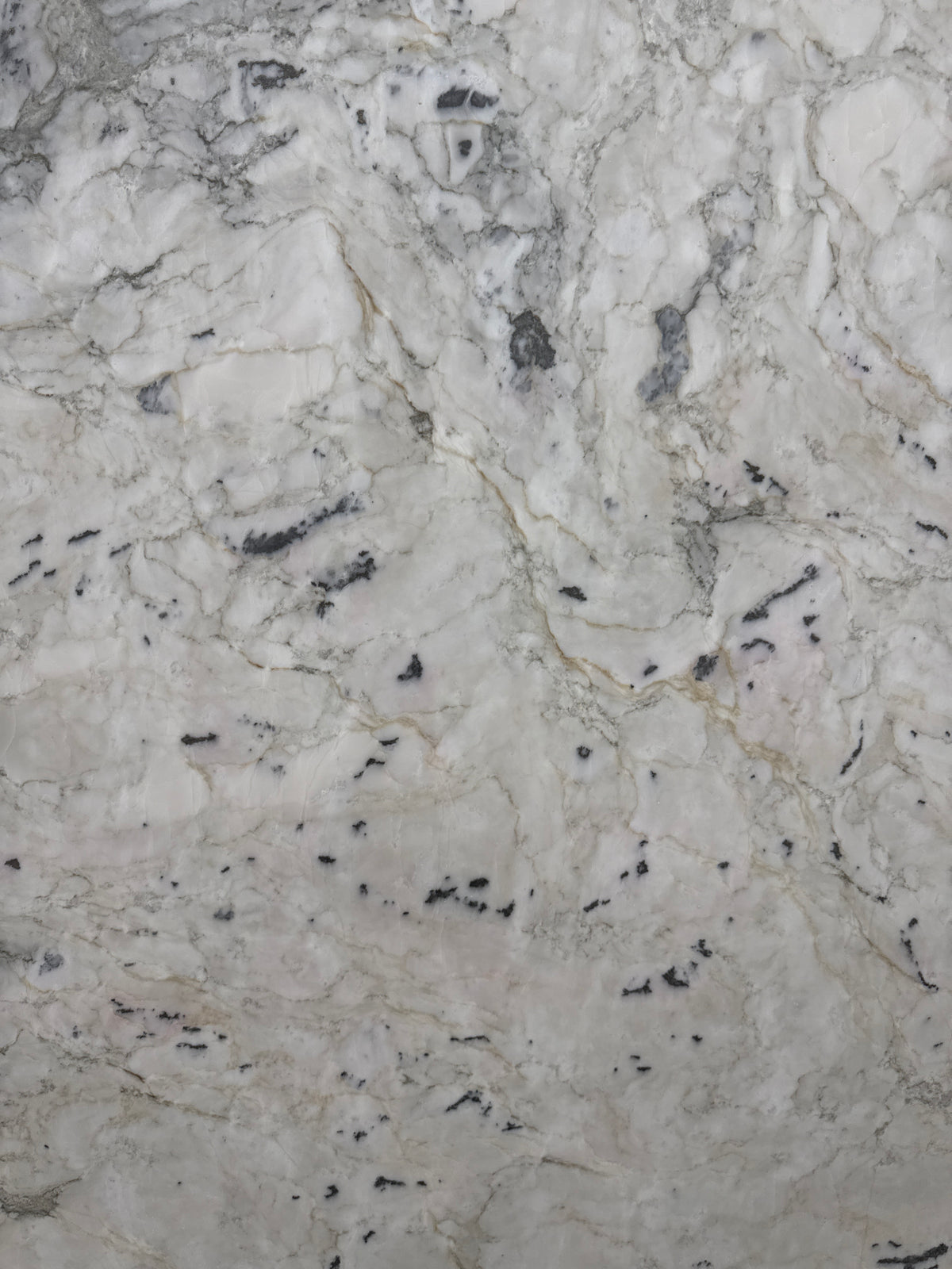 Avalanche/Mendola Quartzite