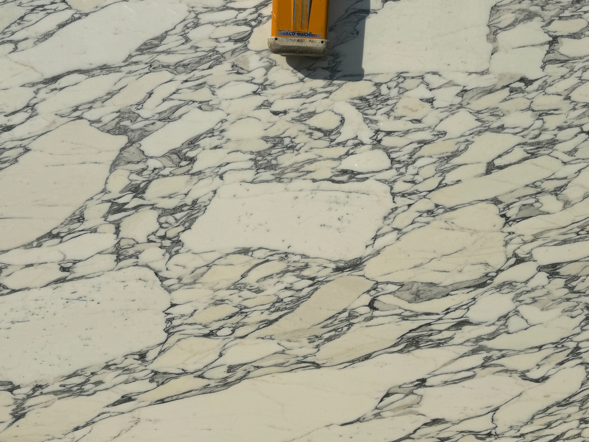 Calacatta Corchia Marble
