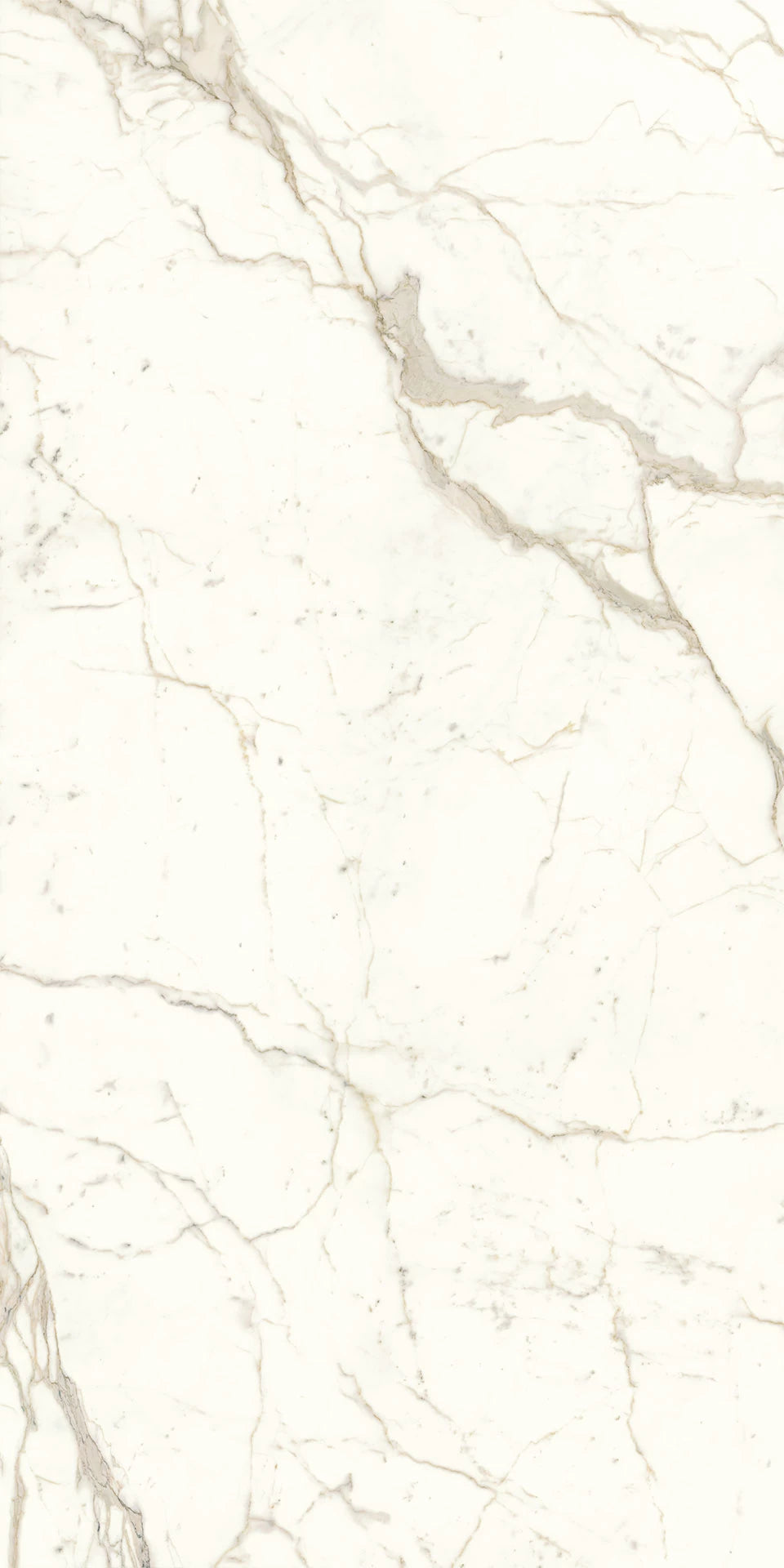 Prestigio Porcelain