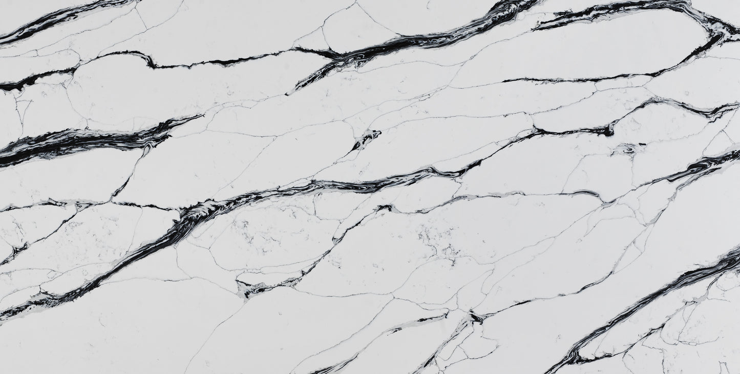 Calacatta Black Quartz