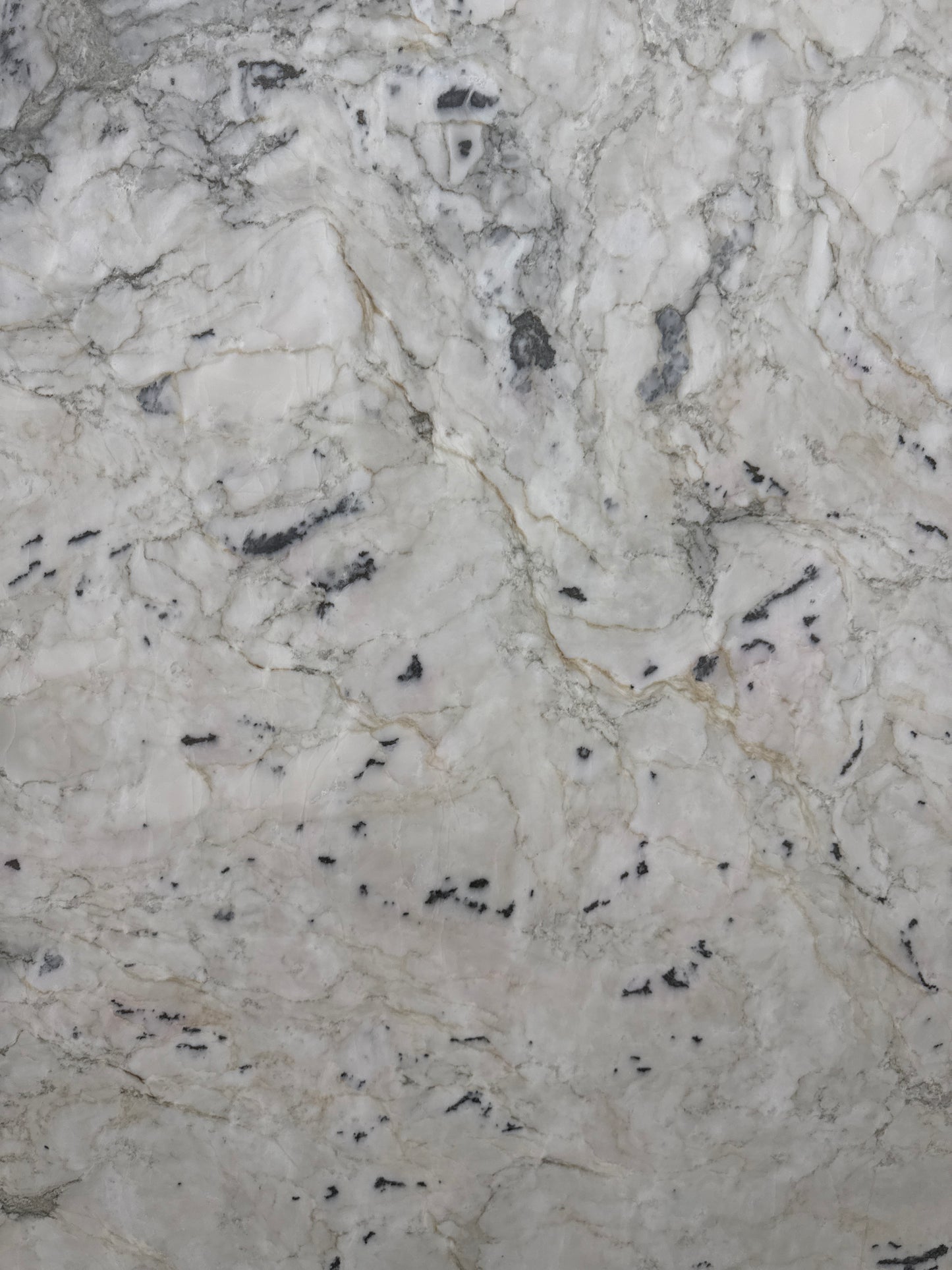 Avalanche/Mendola Quartzite