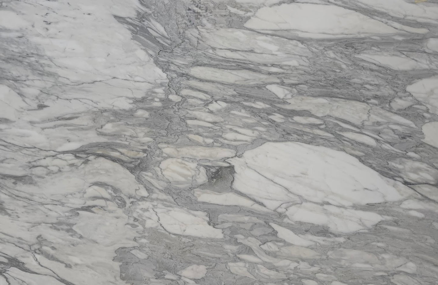 Calacatta Premium Polished 2cm
