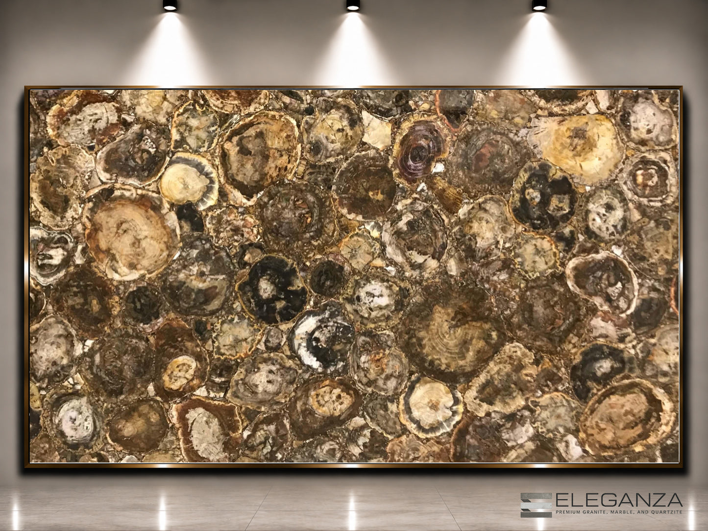 Petrified Wood Agate
