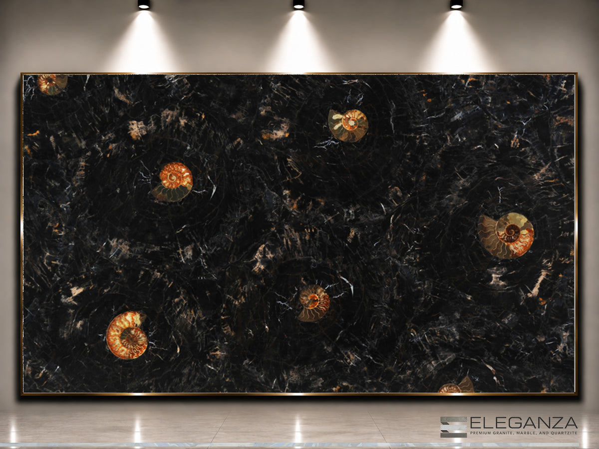 Petrified Wood Black with Ammonites