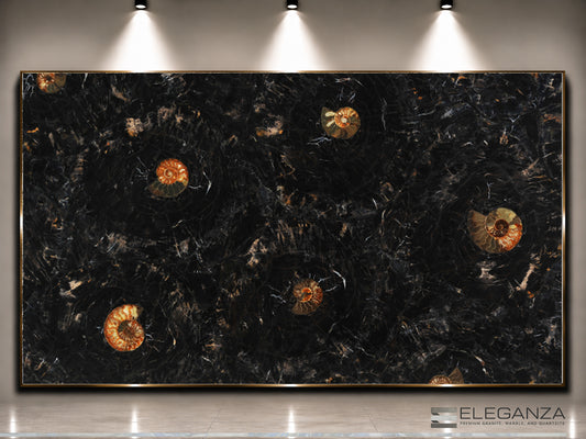 Petrified Wood Black with Ammonites