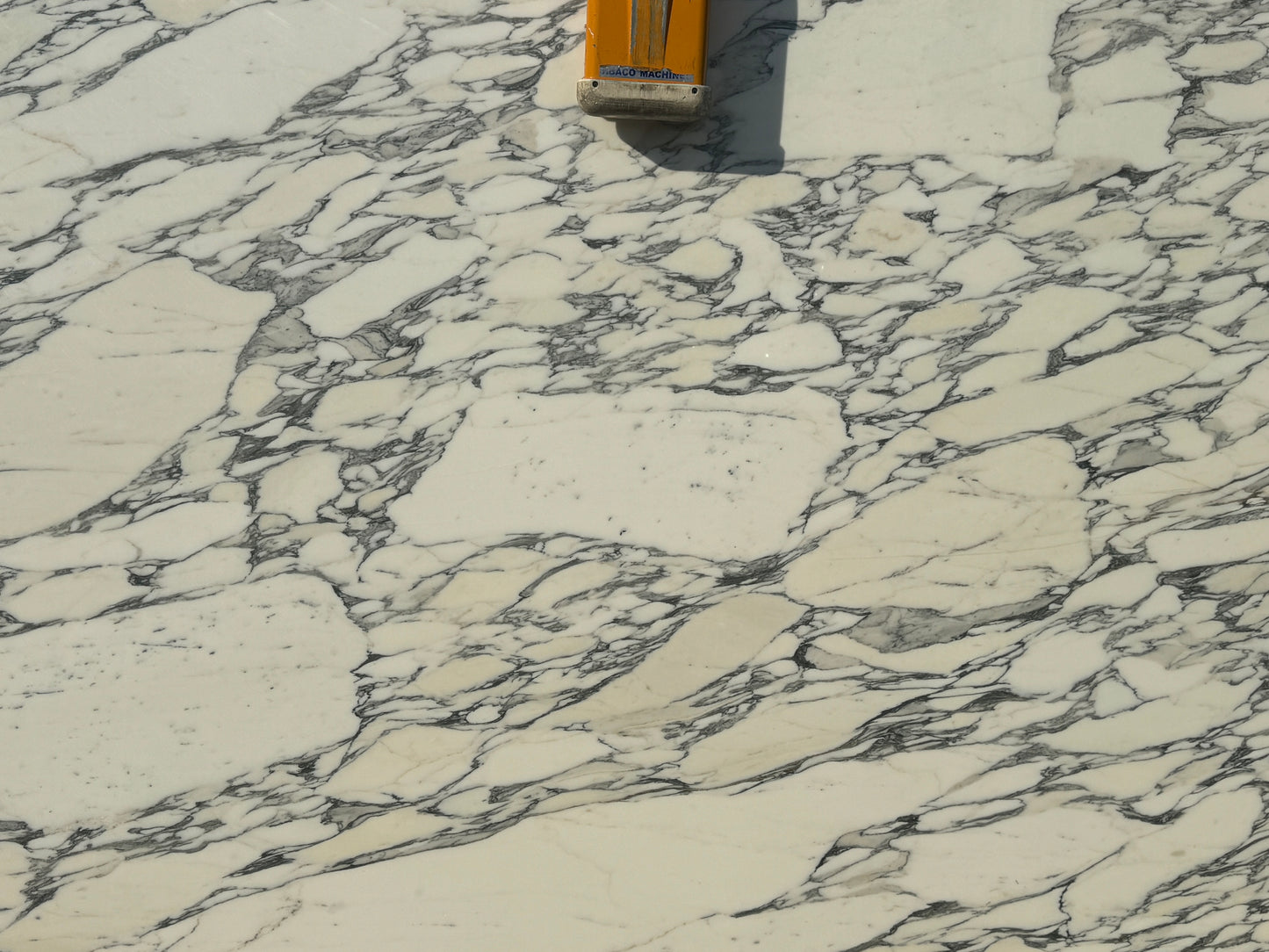 Calacatta Corchia Marble