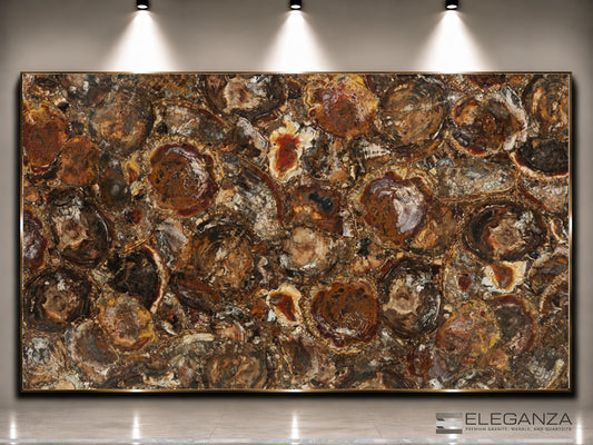 Petrified Wood