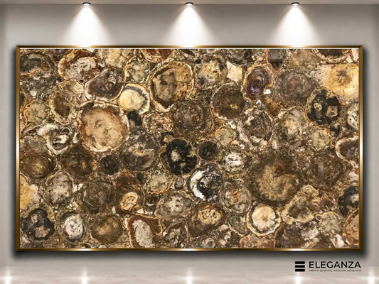 Petrified Wood Agate