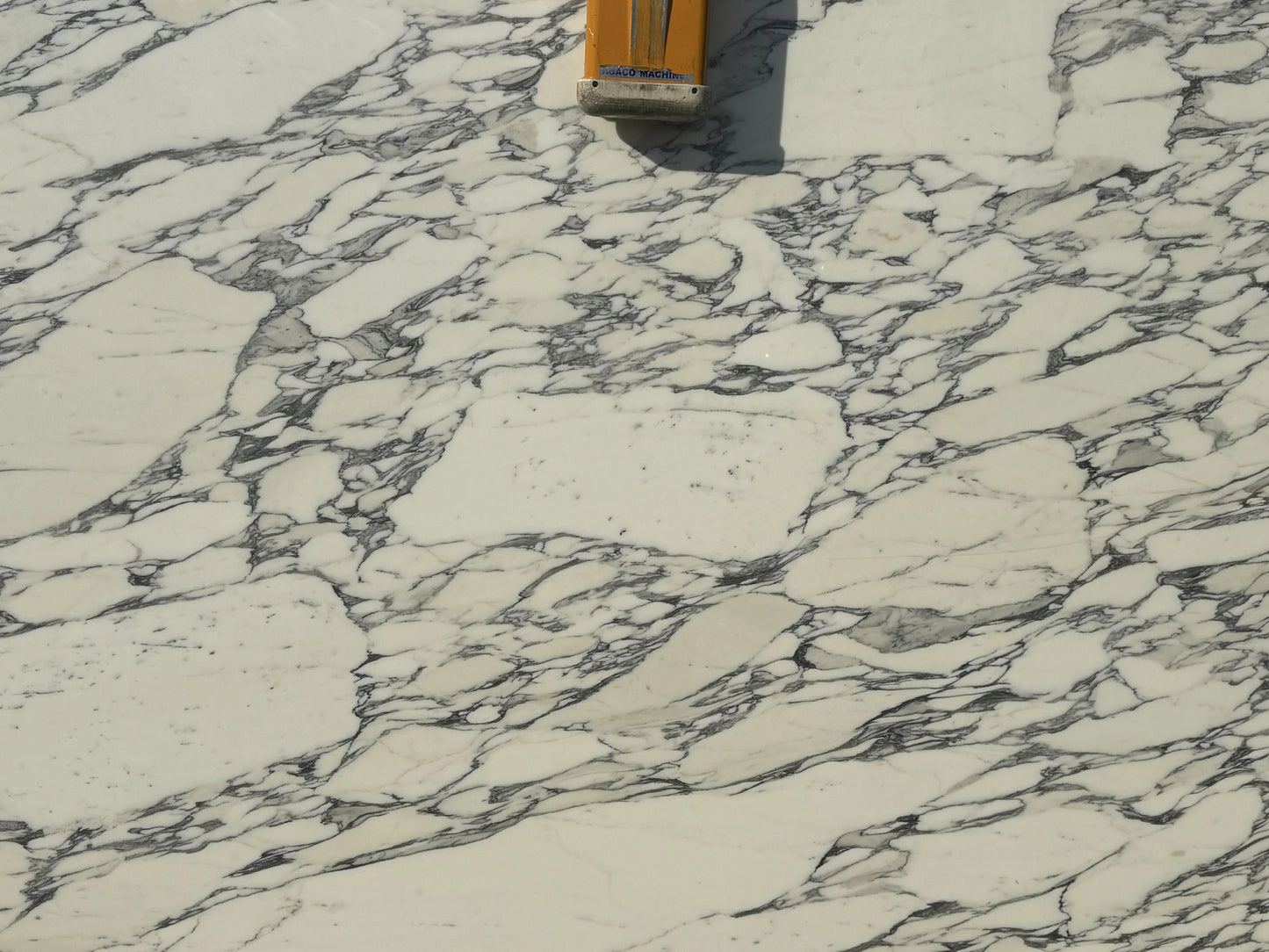 Calacatta Corchia Marble